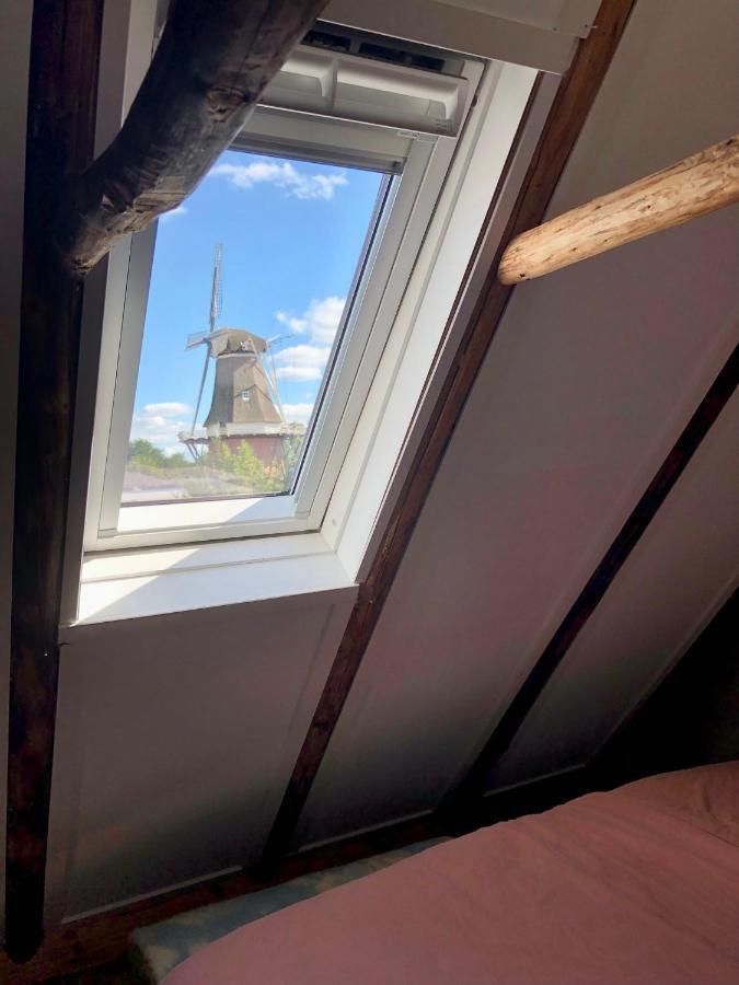 Tiny House De Smederij Villa Peize ภายนอก รูปภาพ